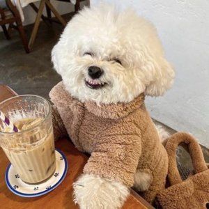 Meet your Posher, Chi-co